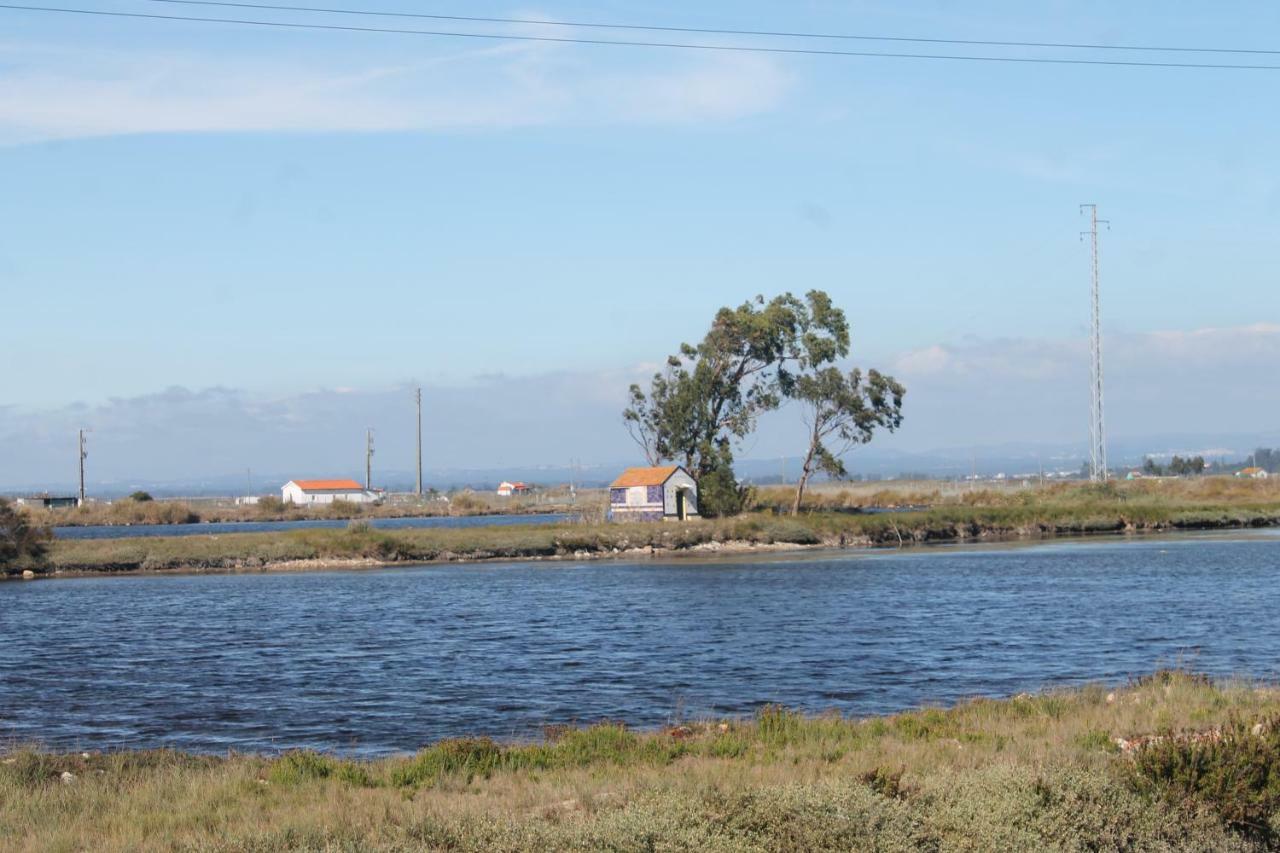 Casa Clara Villa Aveiro Exteriör bild